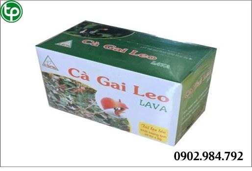 Phân phối sỉ lẻ cây cà Gai Leo tại Huyện Quốc Oai giao hàng nhanh